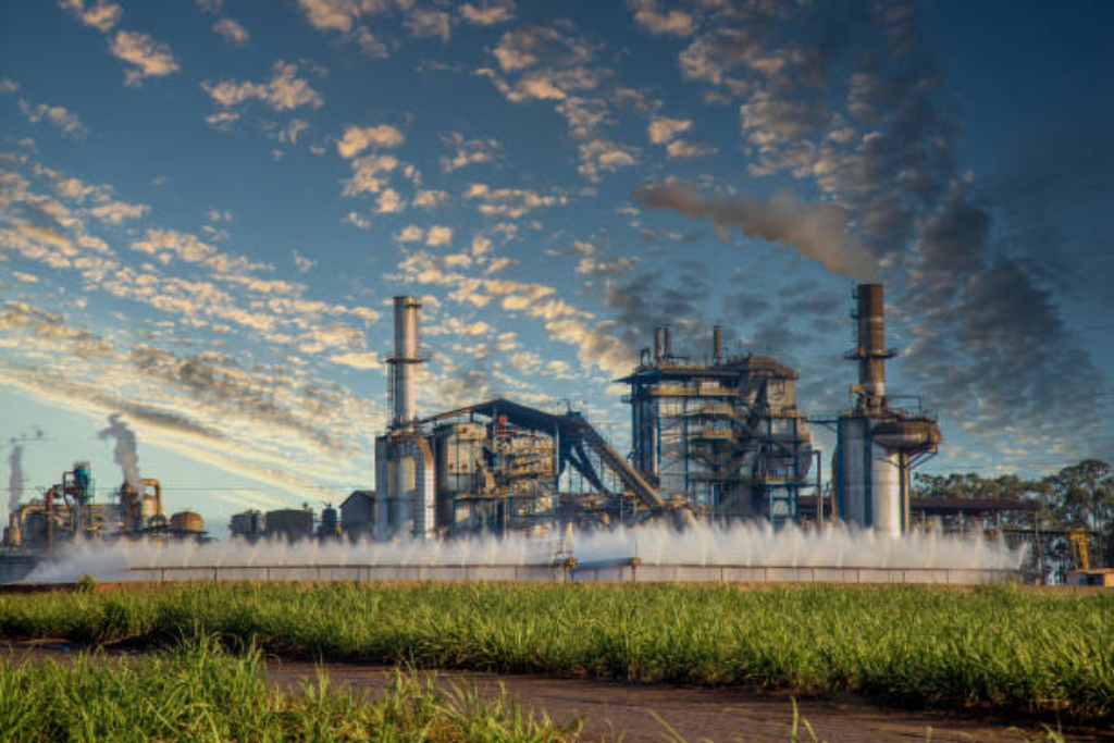 Brazilian Sugar Refinery